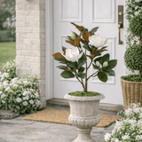 80 CM FAUX MAGNOLIA TREE - Pure Apotheca
