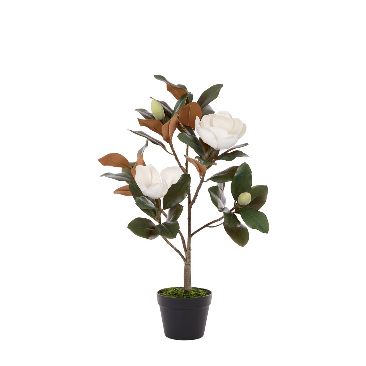 80 CM FAUX MAGNOLIA TREE - Pure Apotheca