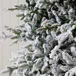 9 FT NORWEGIAN PINE SNOW TREE - 1220 LED - Pure Apotheca