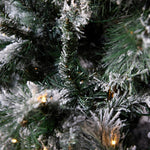 9.5 FT DOUGLAS FIR SNOW TREE - 760 LED - Pure Apotheca