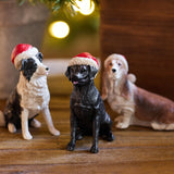 Black Dog with Santa Hat