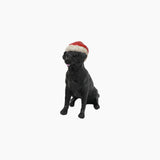 Black Dog with Santa Hat