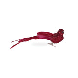 DEEP RED LONG TAILED FEATHER BIRD