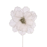 SHEER PLATINUM RUFFLE POINSETTIA