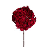 RED HYDRANGEA STEM