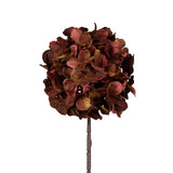 AUTUMNAL HYDRANGEA STEM