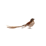 GLITTERED FEATHER CLIP BIRD