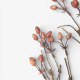 Burnished Berries Branch 85cm