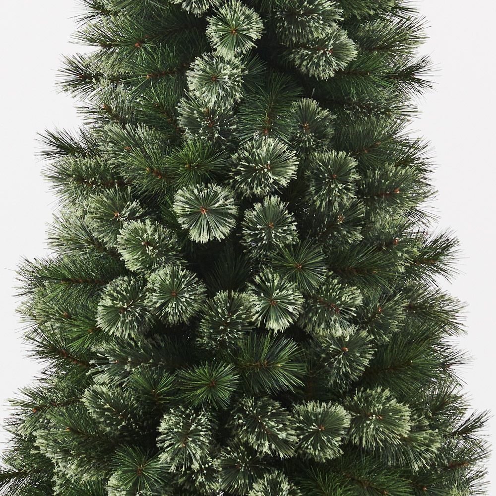 Alsakan Pine Christmas Tree 180cm - Pure Apotheca