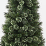 Alsakan Pine Christmas Tree 180cm - Pure Apotheca