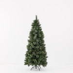 Alsakan Pine Christmas Tree 180cm - Pure Apotheca