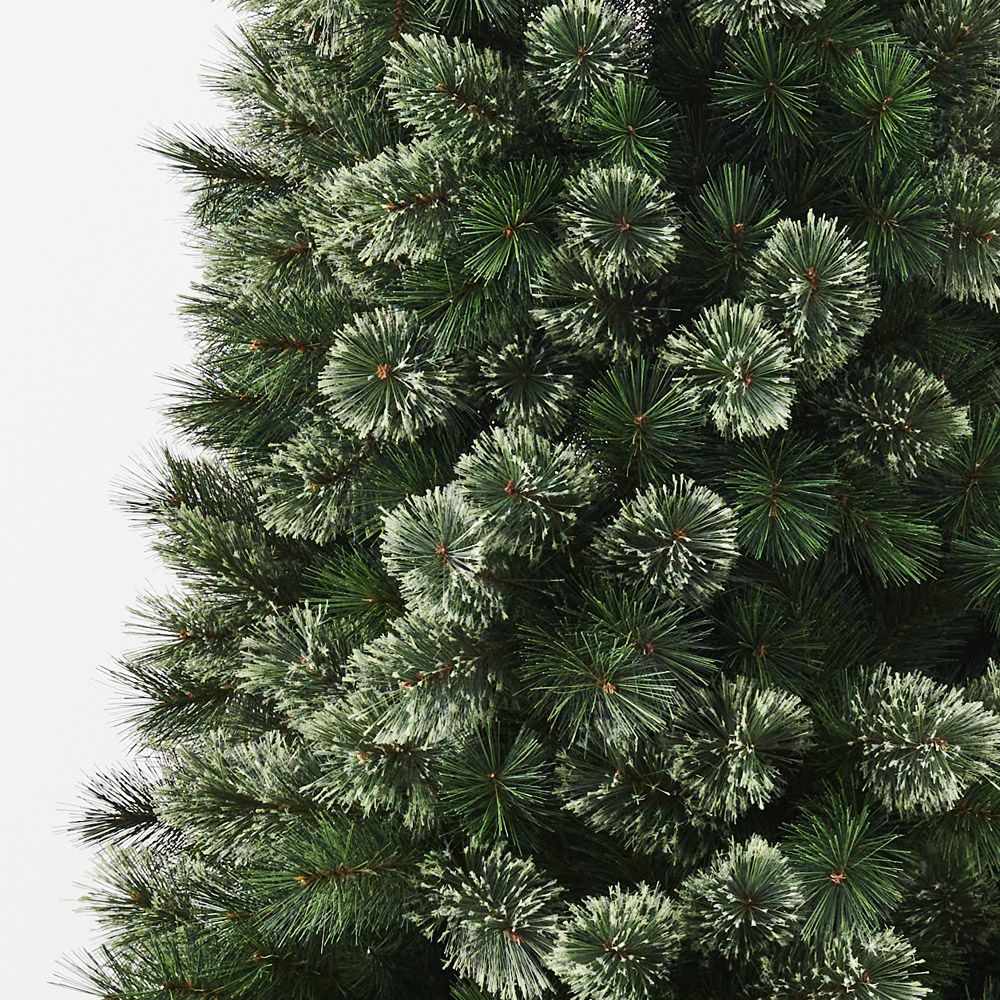 Alsakan Pine Christmas Tree 240cm - Pure Apotheca