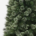 Alsakan Pine Christmas Tree 240cm - Pure Apotheca