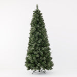 Alsakan Pine Christmas Tree 240cm - Pure Apotheca