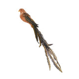 AMBER PEACOCK CLIP - Pure Apotheca