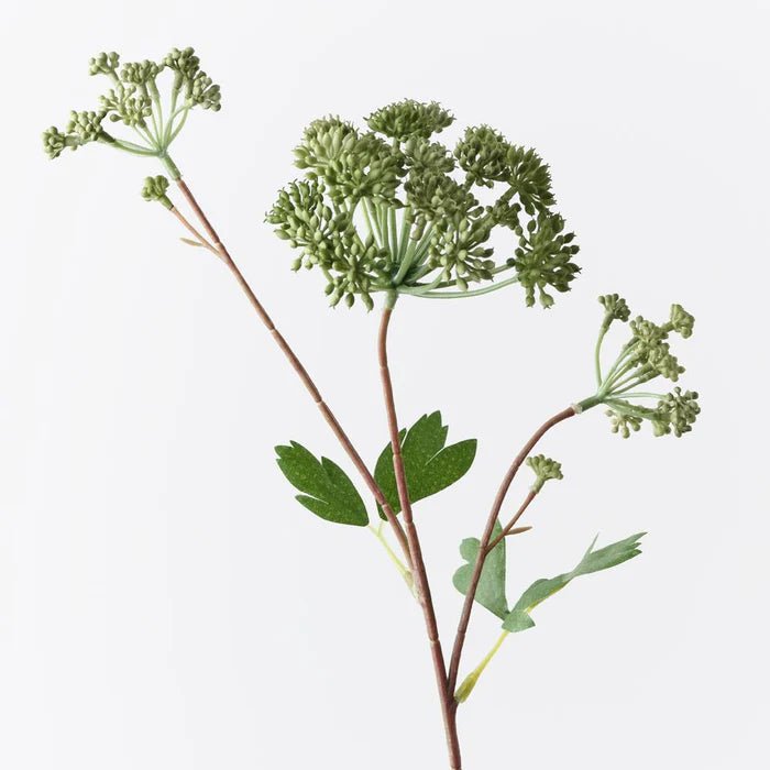 Angelica Spray Green 64cm - Pure Apotheca