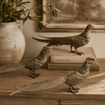 Antique Brass Pheasant - Pure Apotheca