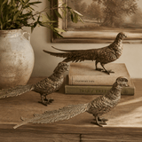 Antique Brass Pheasant - Pure Apotheca