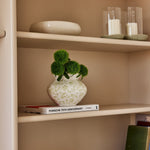 ARLES GREEN STAMPED VASE SML - Pure Apotheca