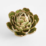 Artichoke Head Small - Pure Apotheca