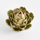 Artichoke Head Small - Pure Apotheca