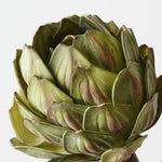 Artichoke Stem Green 32cm - Pure Apotheca