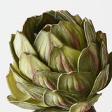 Artichoke Stem Green 32cm - Pure Apotheca