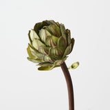 Artichoke Stem Green 32cm - Pure Apotheca