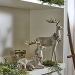 Aurora Celebration Stag Lying Down - Pure Apotheca