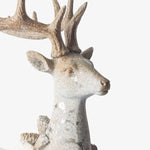 Aurora Celebration Stag Lying Down - Pure Apotheca