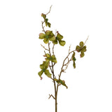 AUTUMNAL FOLIAGE STEM - Pure Apotheca