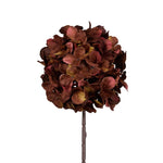 AUTUMNAL HYDRANGEA STEM - Pure Apotheca