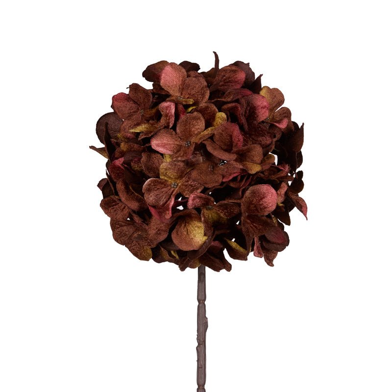 AUTUMNAL HYDRANGEA STEM - Pure Apotheca