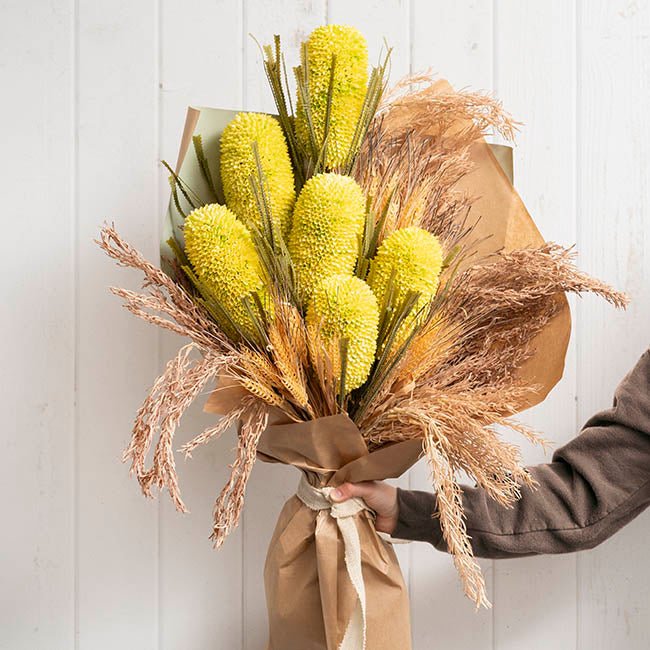 Banksia Soft Yellow 75cm - Pure Apotheca