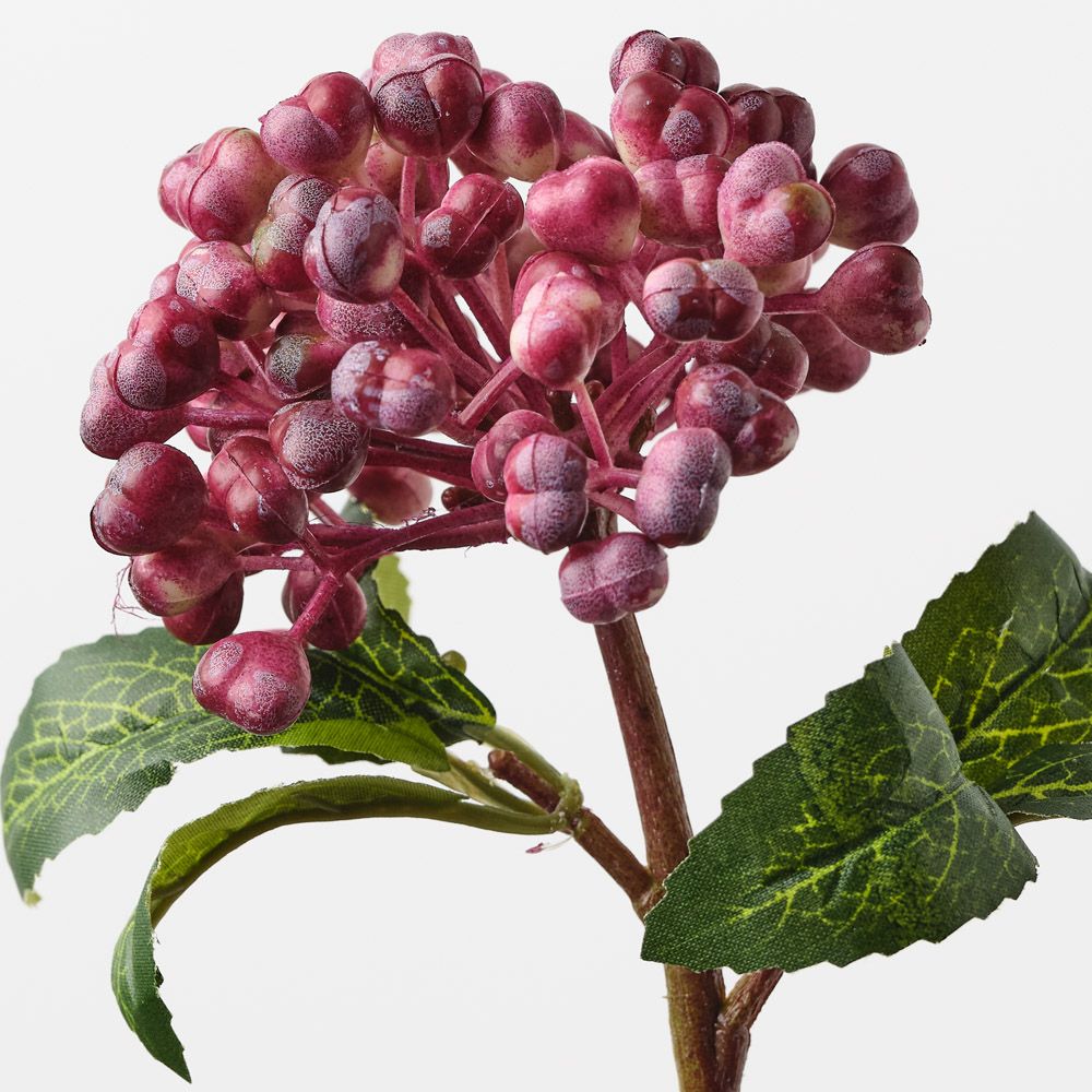 Berry Pick Burgundy 29cm - Pure Apotheca