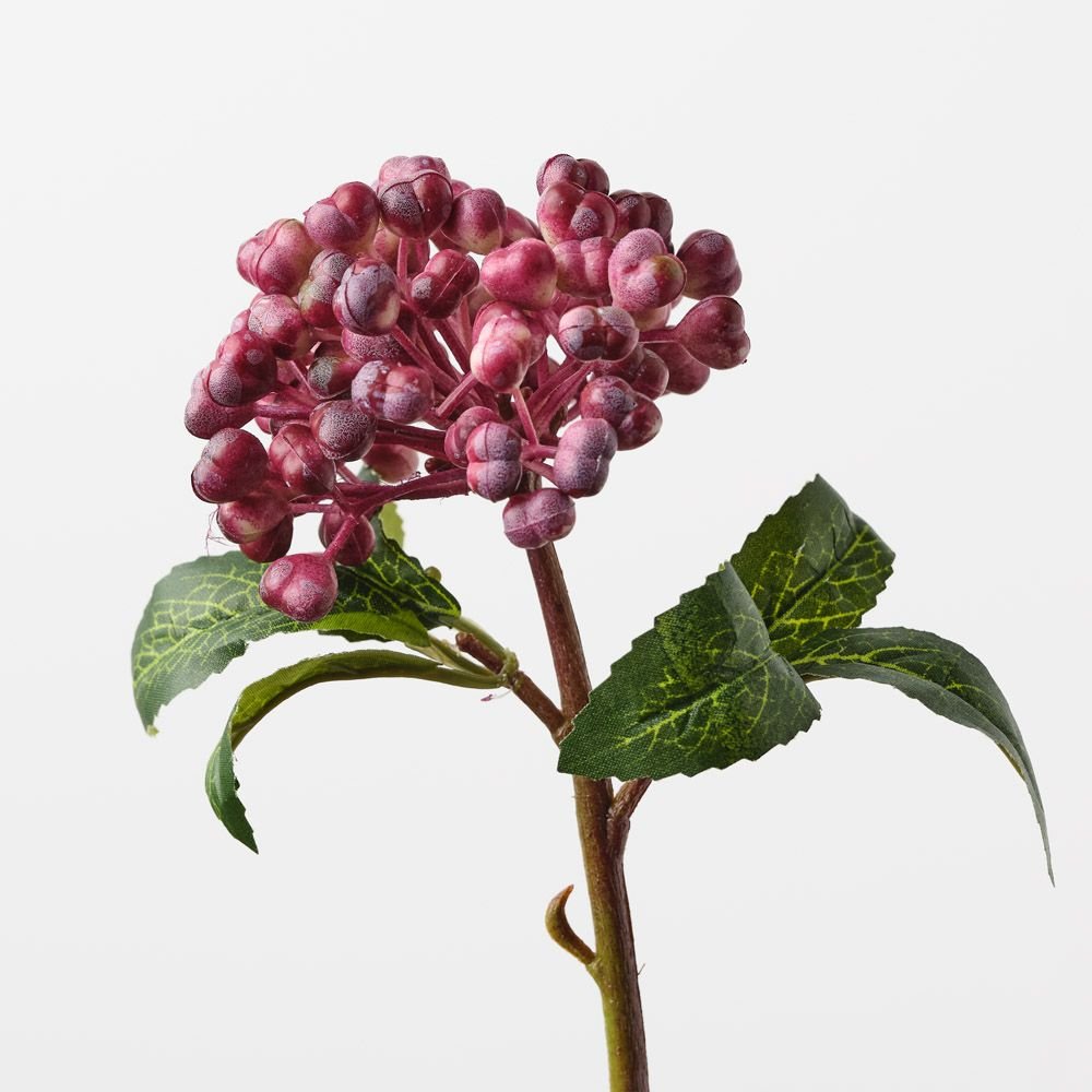 Berry Pick Burgundy 29cm - Pure Apotheca