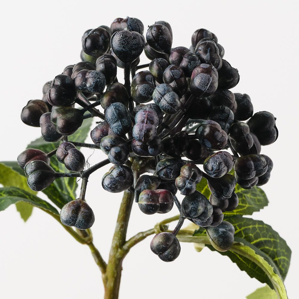 Berry Pick Eggplant Green 29cm - Pure Apotheca