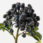 Berry Pick Eggplant Green 29cm - Pure Apotheca