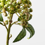 Berry Pick Green Pink 29cm - Pure Apotheca
