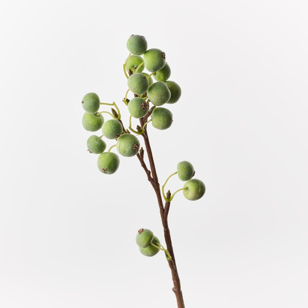 Berry Spray Green 50cm - Pure Apotheca