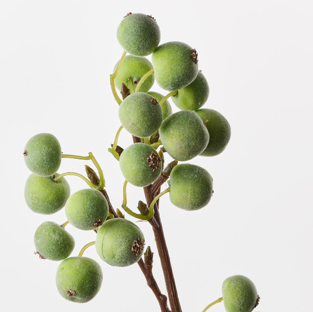 Berry Spray Green 50cm - Pure Apotheca