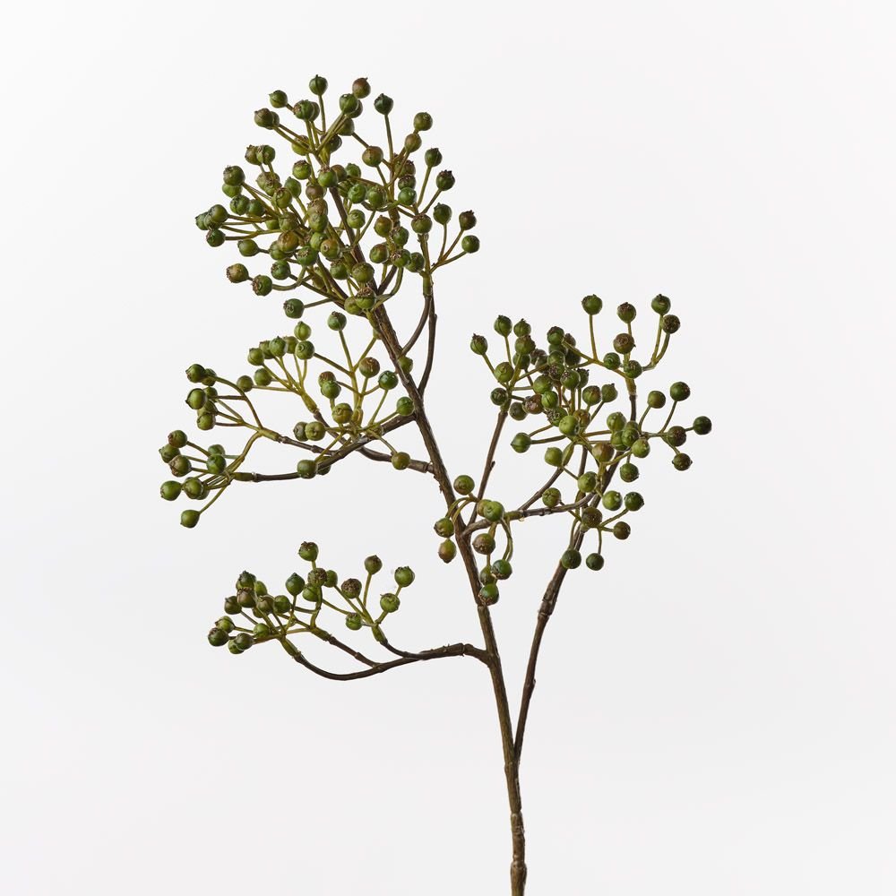 Berry Spray Green 66cm - Pure Apotheca