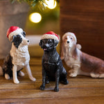 Black Dog with Santa Hat - Pure Apotheca