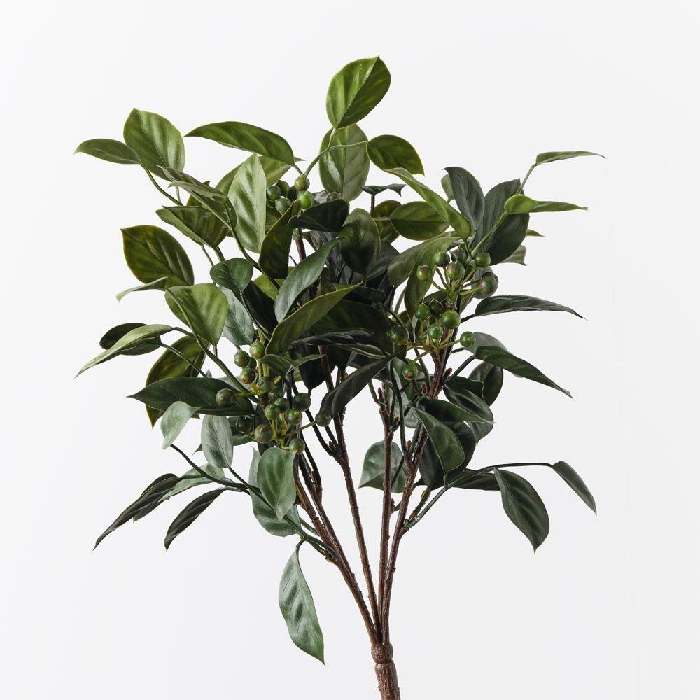 Blueberry Bush Green 35cm - Pure Apotheca