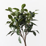 Blueberry Bush Green 35cm - Pure Apotheca