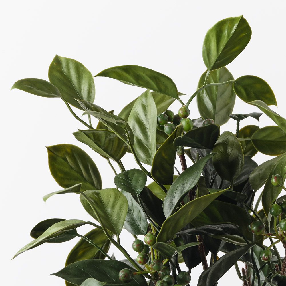 Blueberry Bush Green 35cm - Pure Apotheca