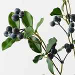 Blueberry Spray Blue 78cm - Pure Apotheca