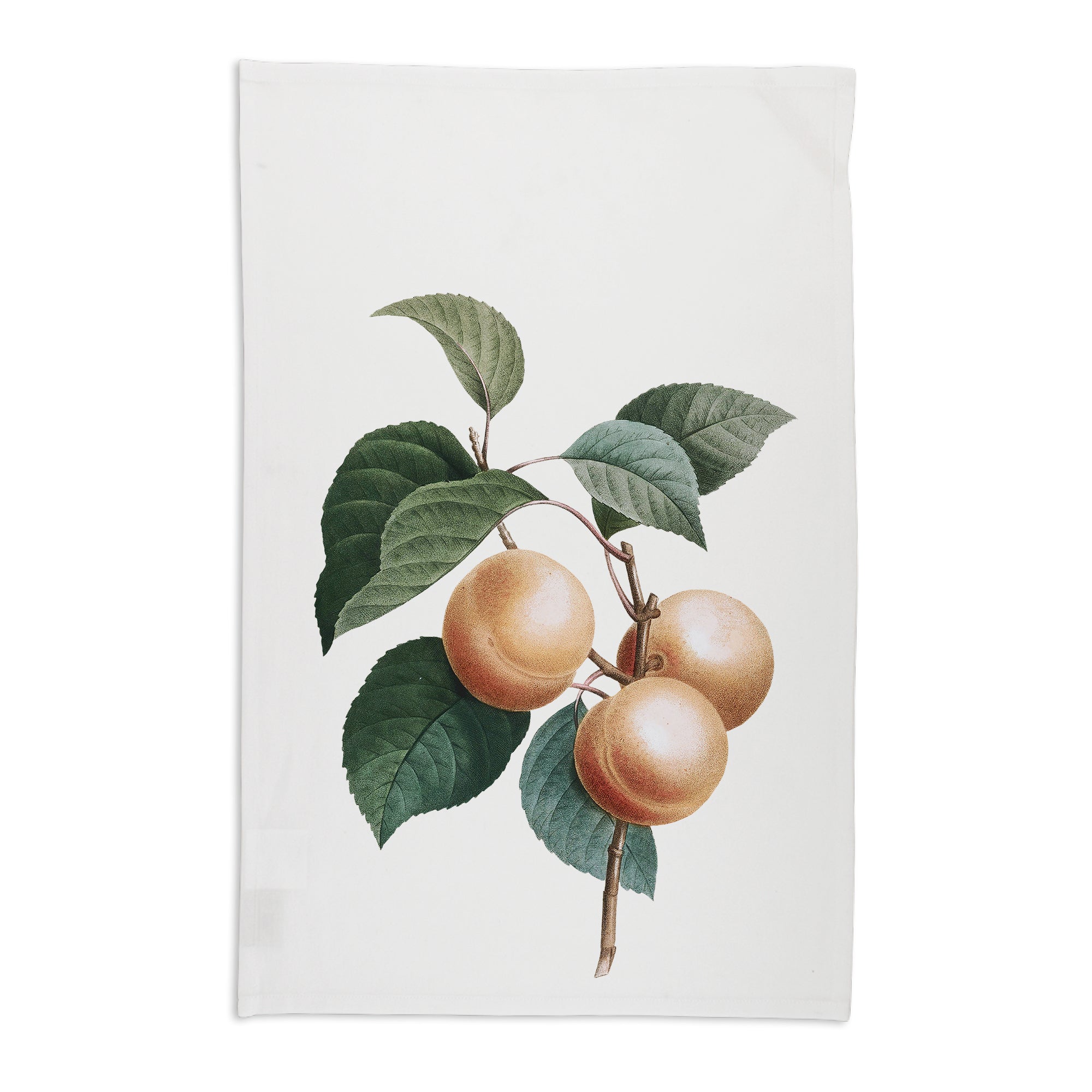 Botanical Apricot Peach Cotton Tea Towel - Pure Apotheca