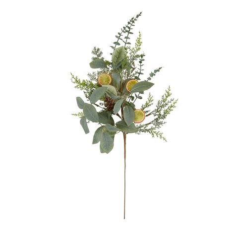 Branch w Orange/P`Cone Poly 79cm - Pure Apotheca