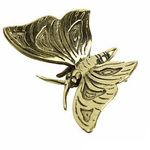 Brass Butterfly Gold - Pure Apotheca